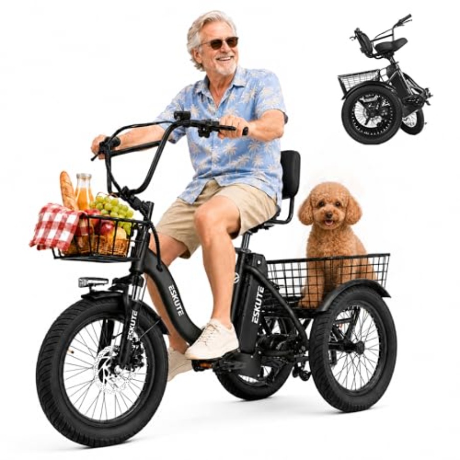 Adults electric trike bike for - Commuting With Bike review and price